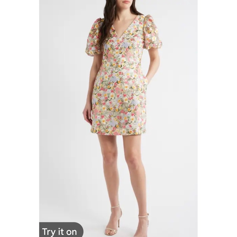 Eliza J Floral Embroidered Mesh V-Neck Puff Sleeve‎ Mini Dress Blue Multi 4P